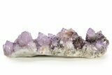 Sparkling Cactus Amethyst Crystal Cluster - South Africa #337110-1